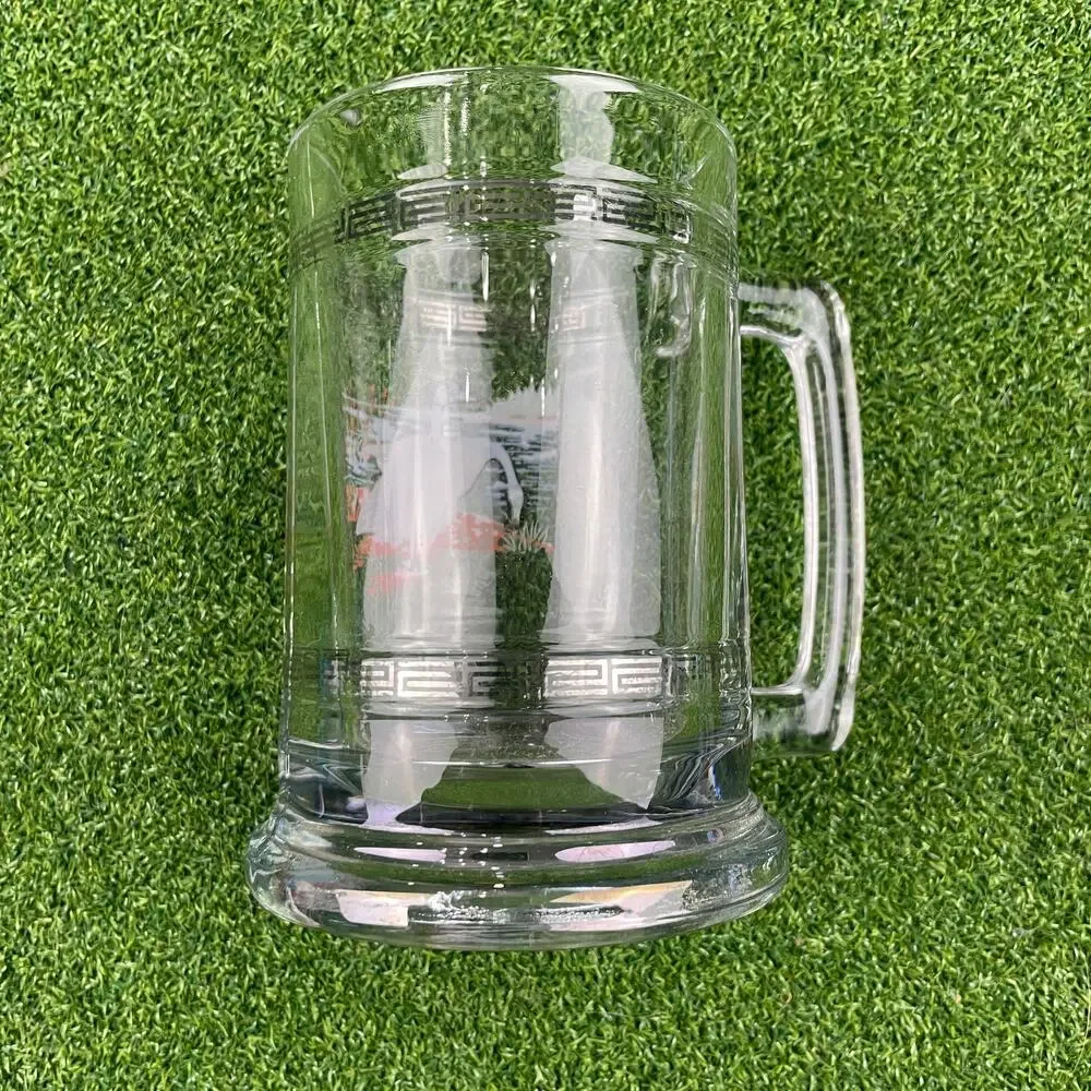 Vintage 1980s Canadian Geese Princess House Clear Glass Beer Stein